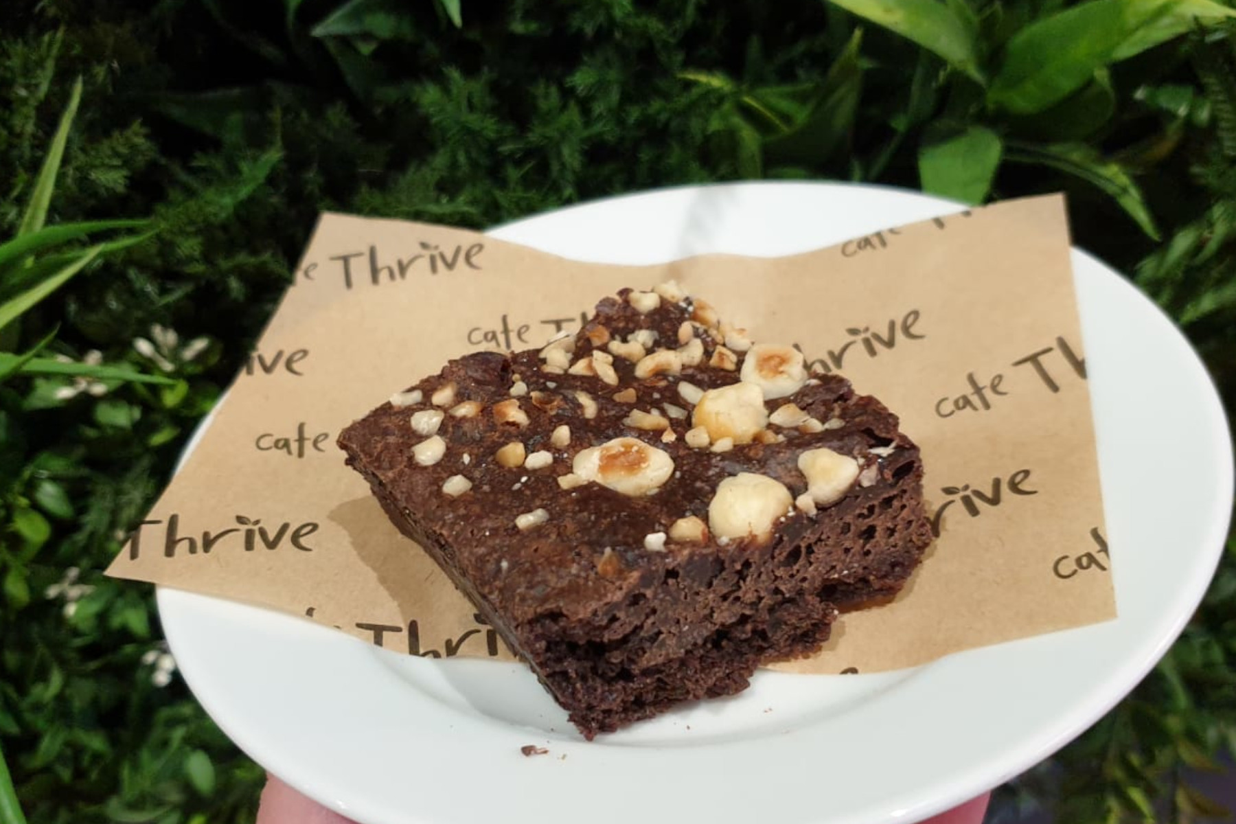 Nut brownie